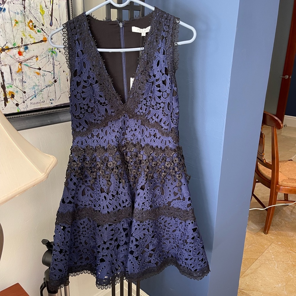 Alexis Lace Dress